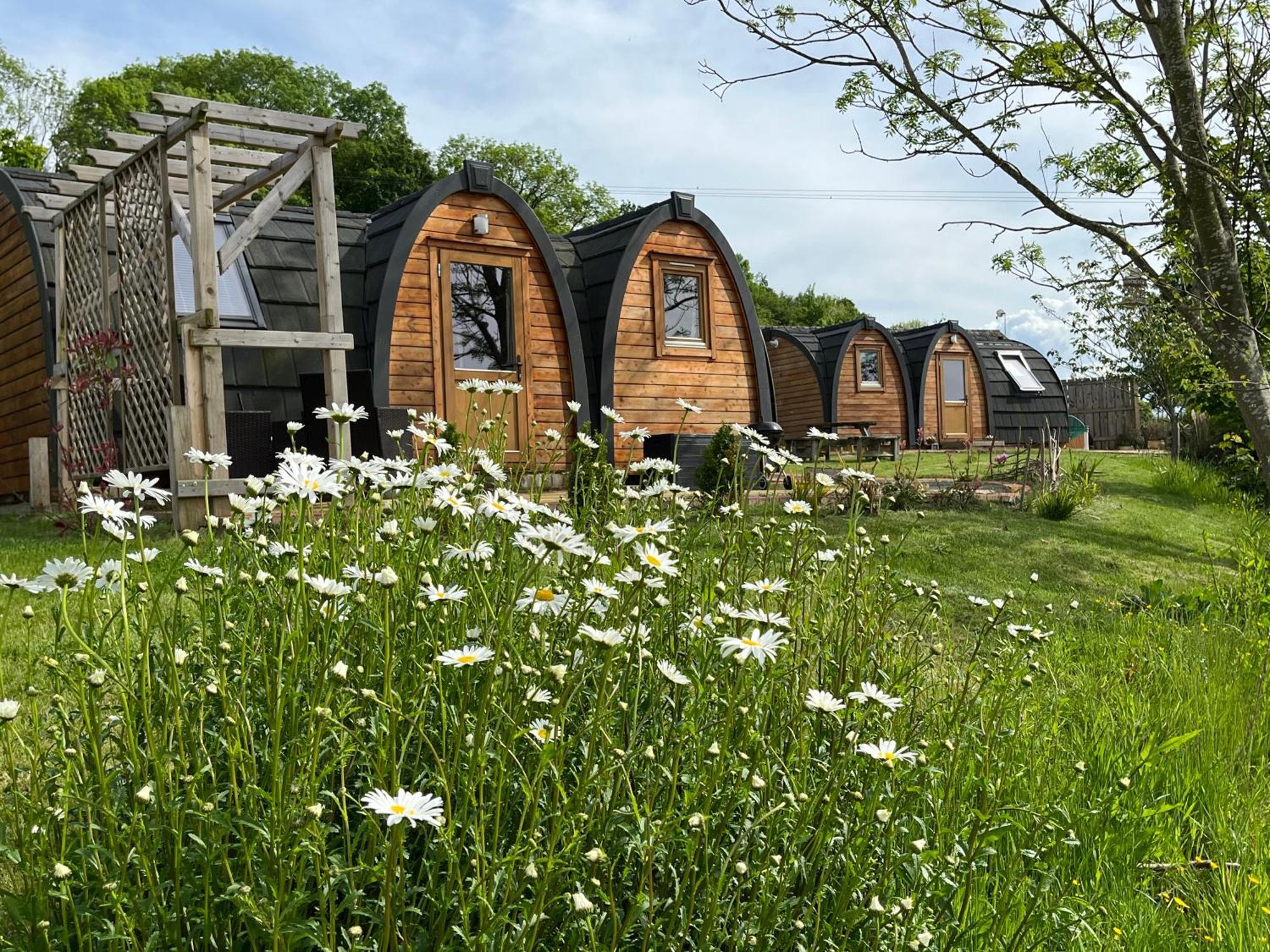 Leighton  Hedgehog Glamping Pod School House Farm酒店 外观 照片